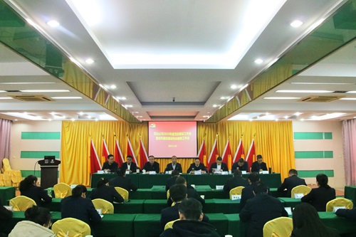 ������������-��������w66