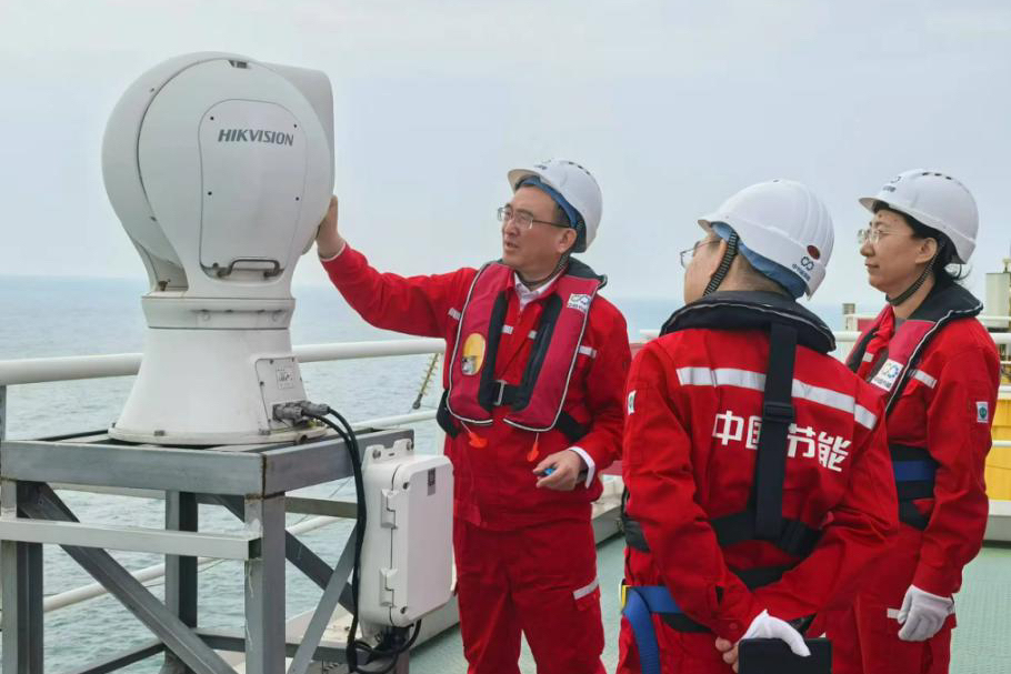 ������������-��������w66