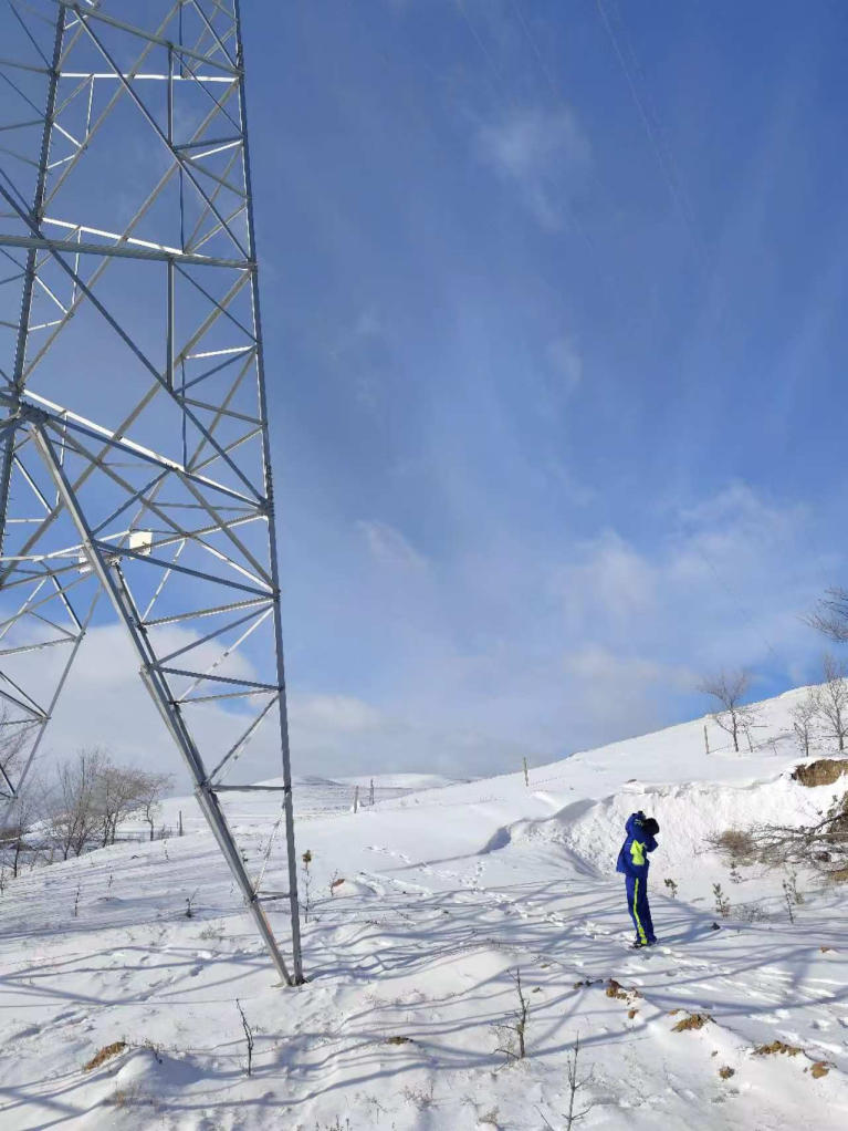 ������������-��������w66