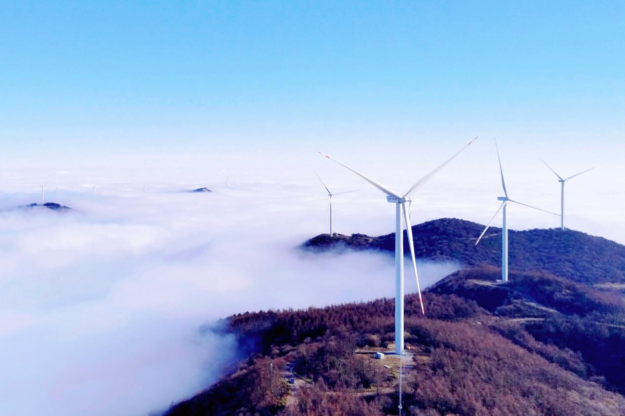 ������������-��������w66