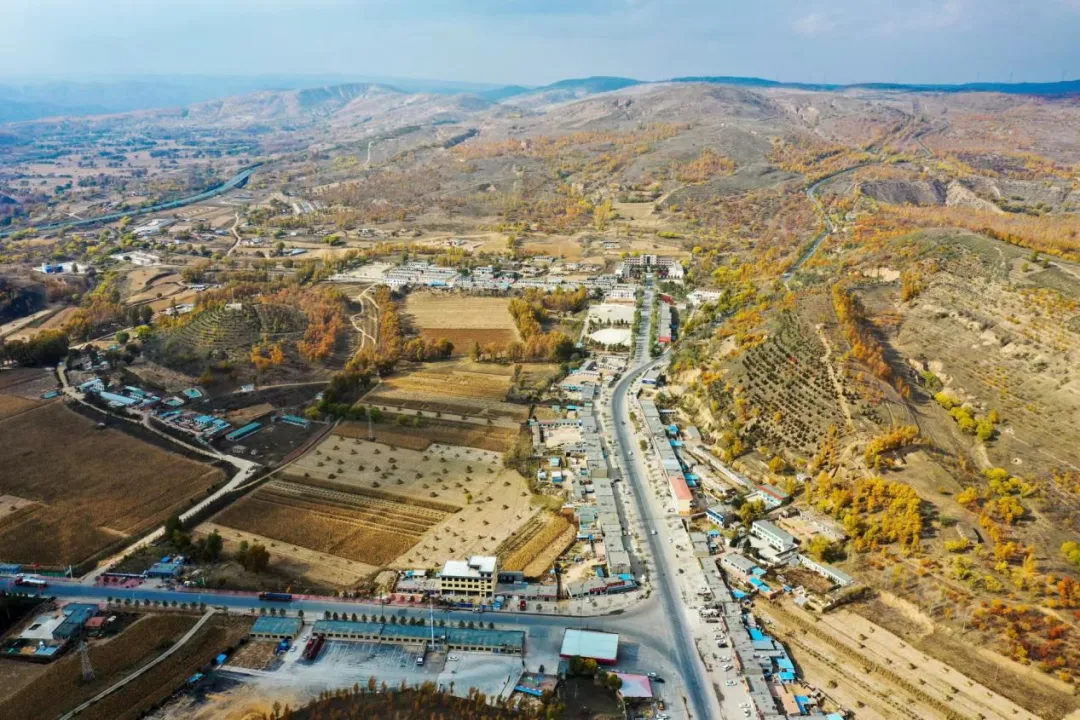 ������������-��������w66