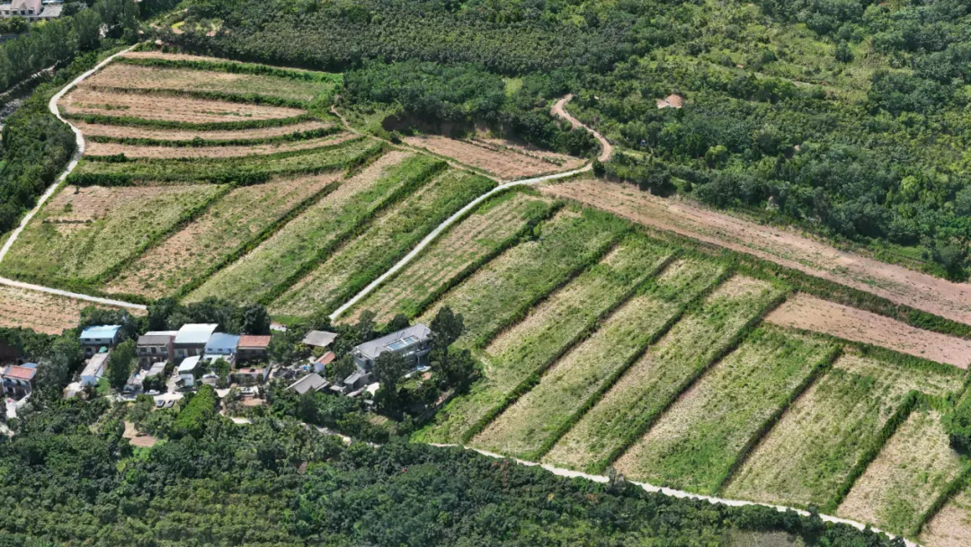 ÀûÀ´¹ú¼ÊÀÏÅÆ-ÀûÀ´¹ú¼Êw66