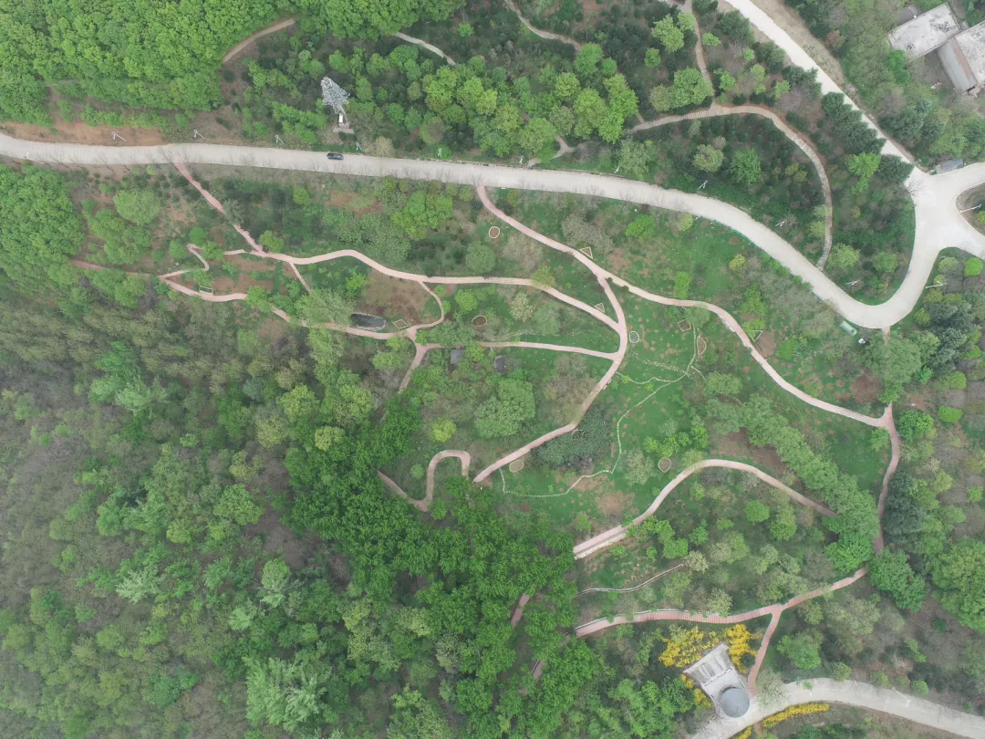 ÀûÀ´¹ú¼ÊÀÏÅÆ-ÀûÀ´¹ú¼Êw66