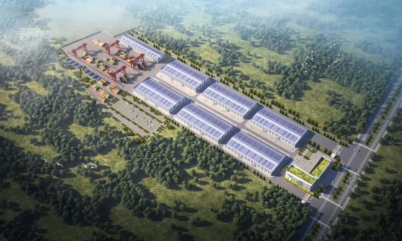 ������������-��������w66