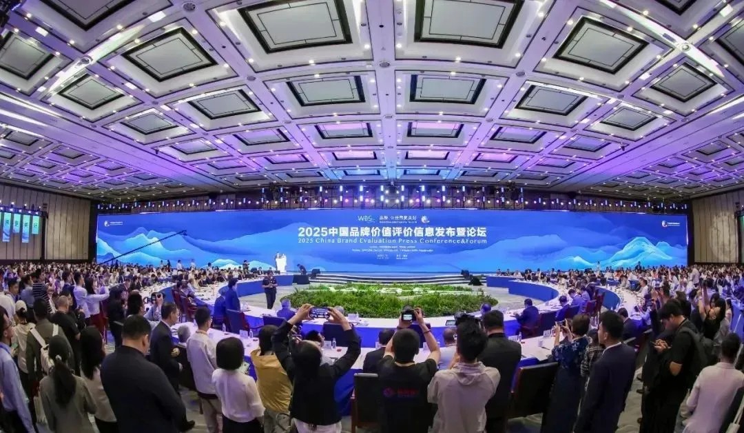 ������������-��������w66