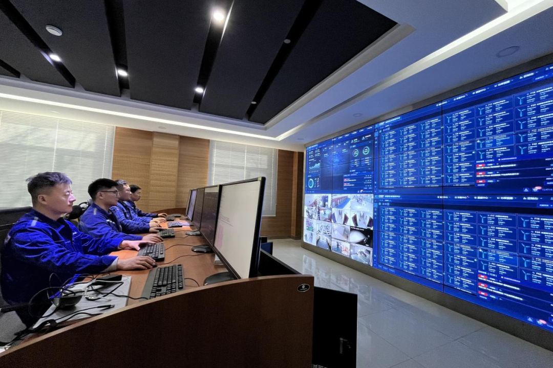 ������������-��������w66