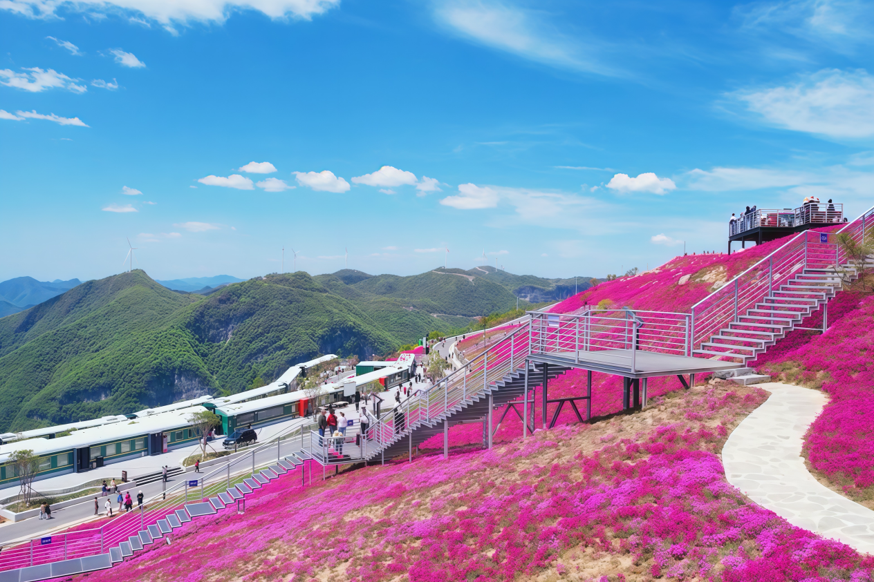 ������������-��������w66