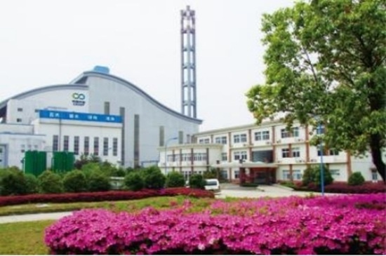 ������������-��������w66