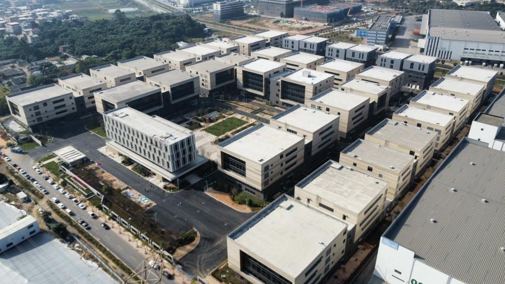 ������������-��������w66