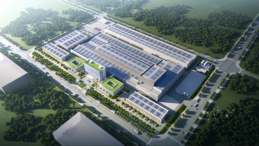 ������������-��������w66