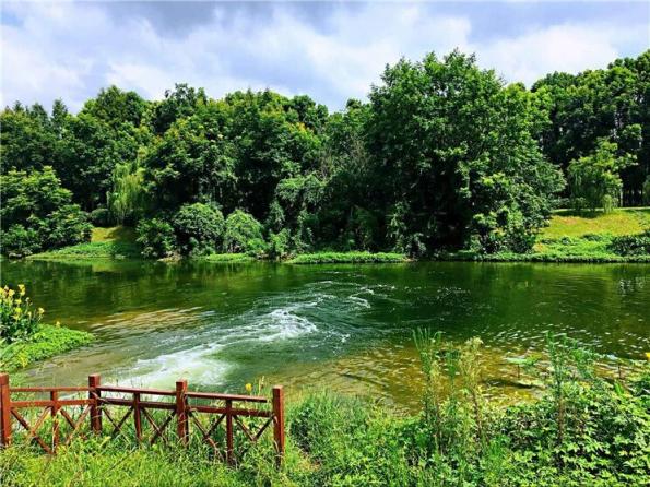 利来国际老牌-利来国际w66