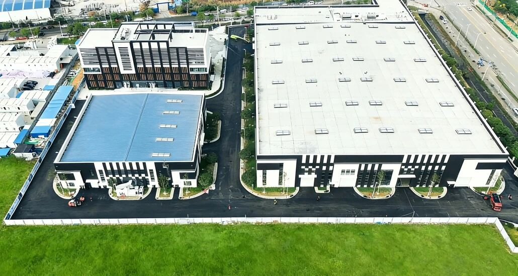 ������������-��������w66