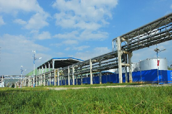 ������������-��������w66