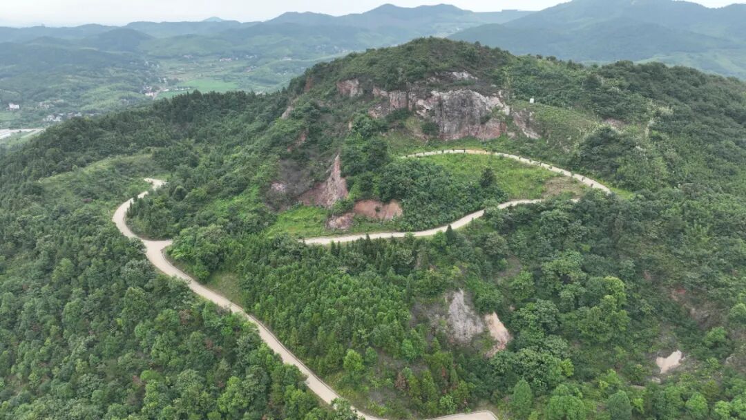 利来国际老牌-利来国际w66