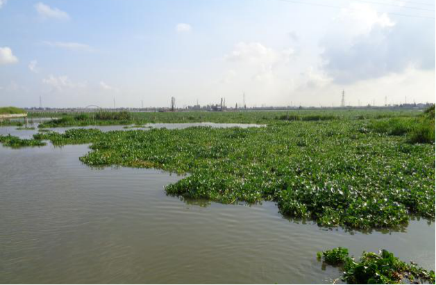 利来国际老牌-利来国际w66