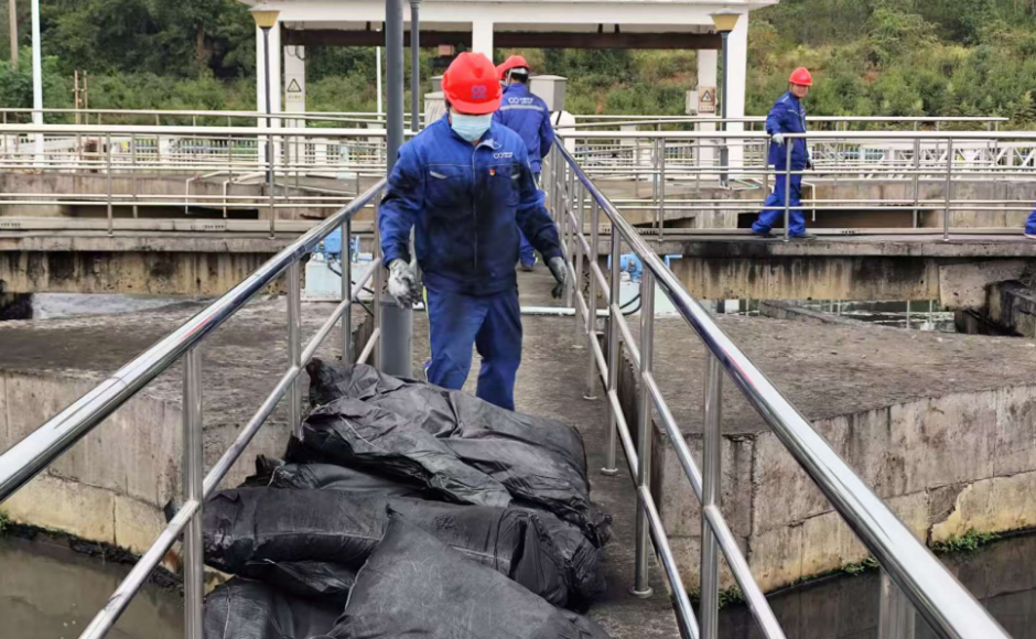 ������������-��������w66