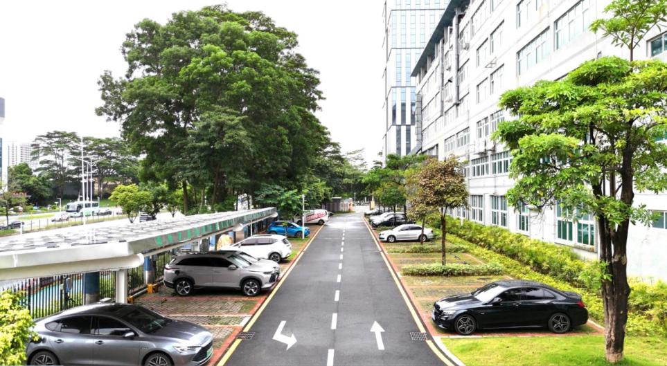 ������������-��������w66