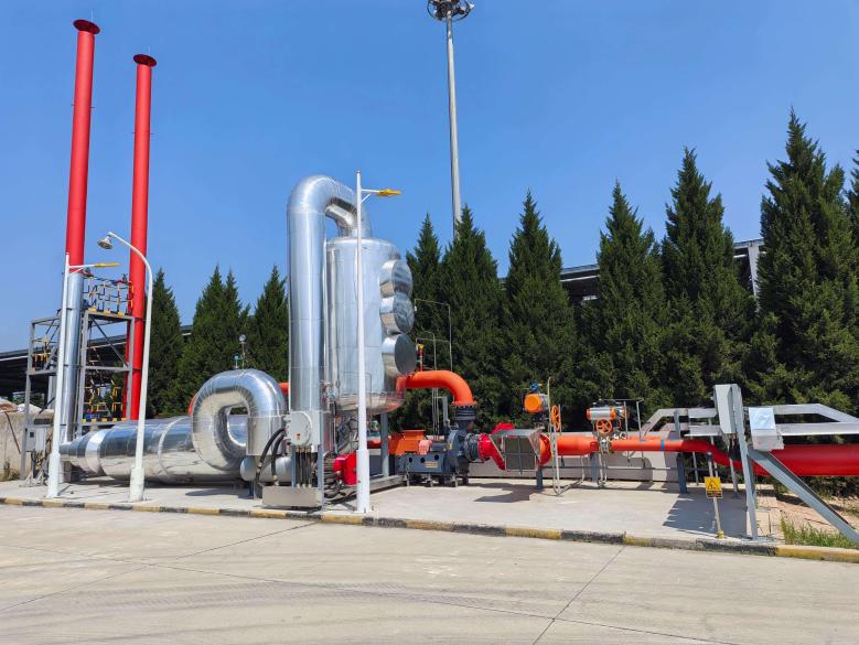 ������������-��������w66