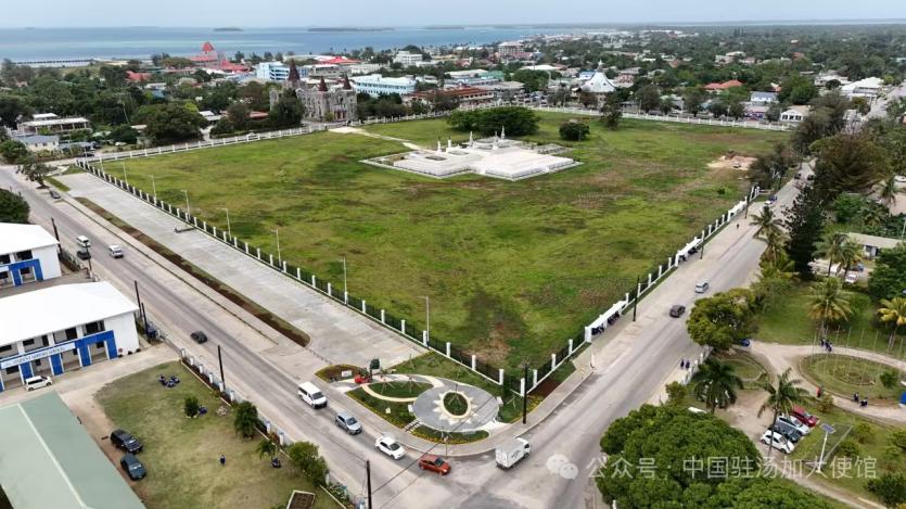 ������������-��������w66