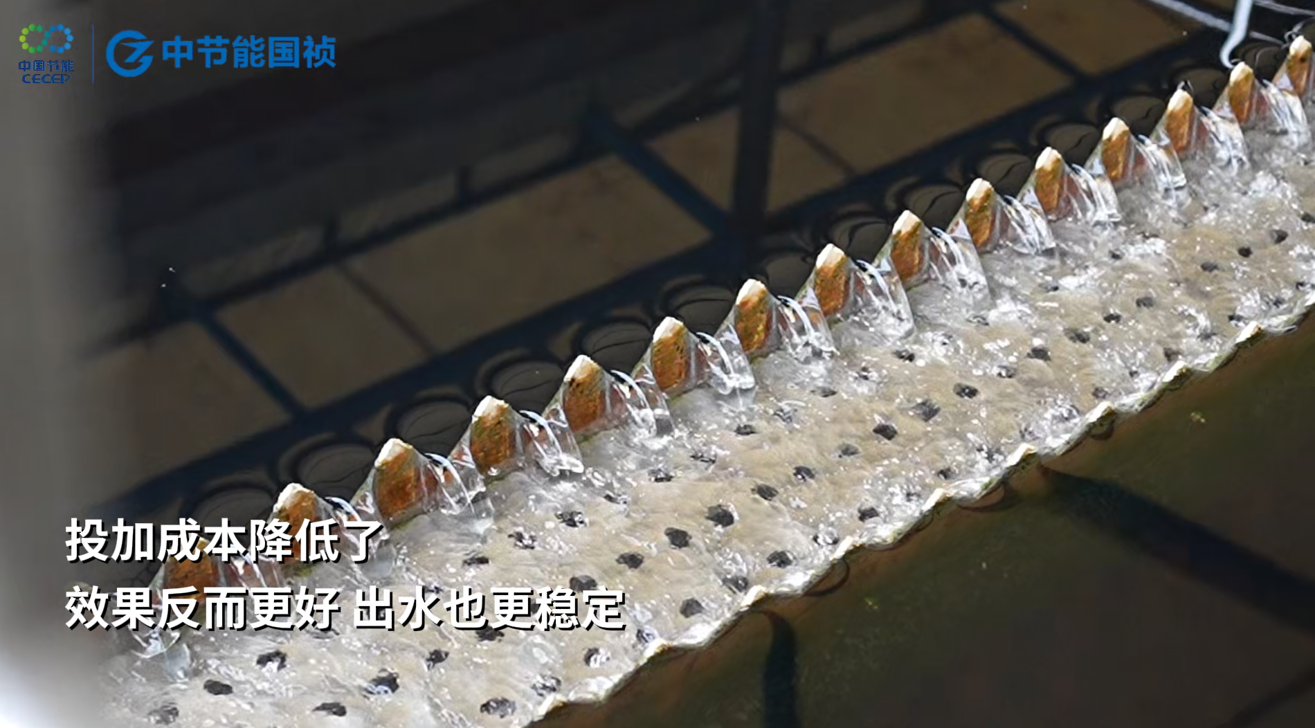 ������������-��������w66