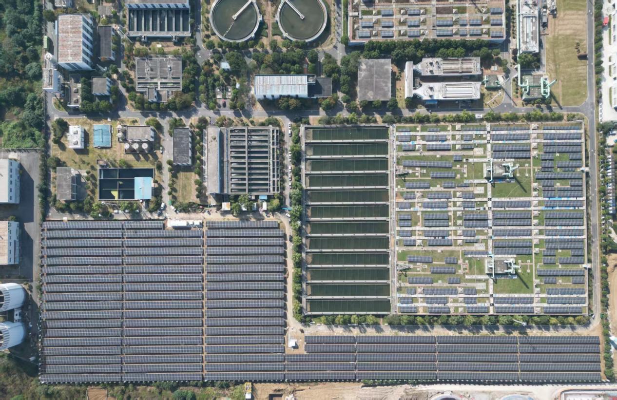 ������������-��������w66