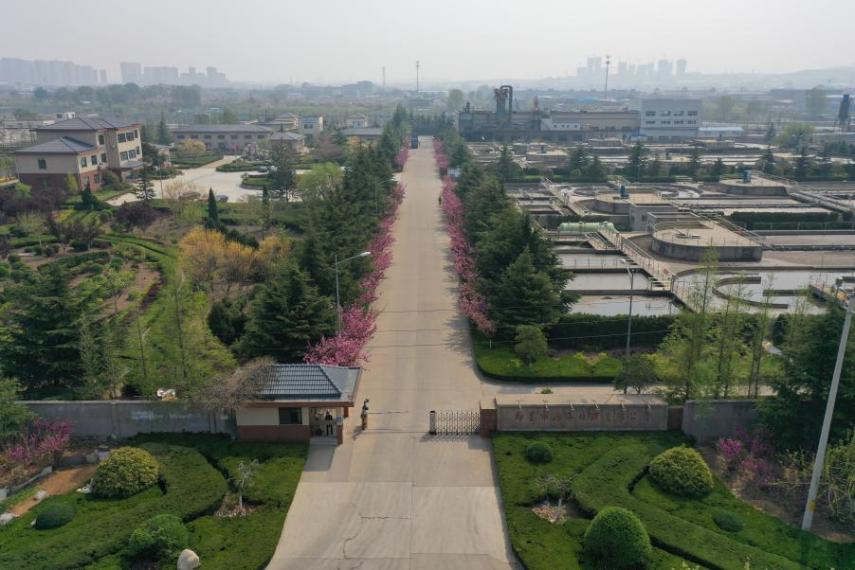 ������������-��������w66