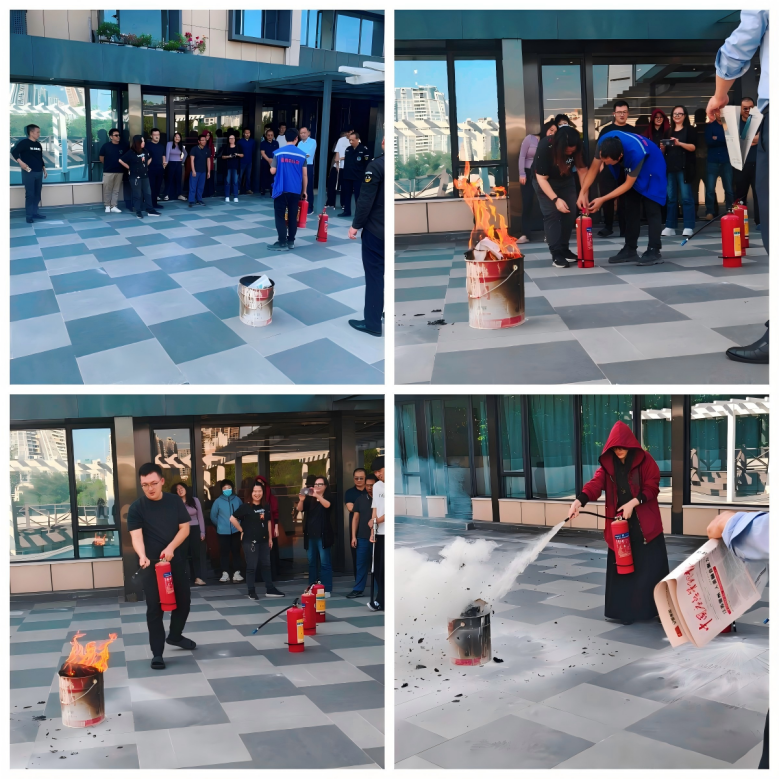 ������������-��������w66