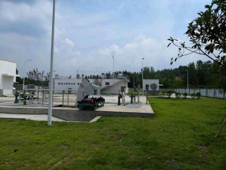 ������������-��������w66