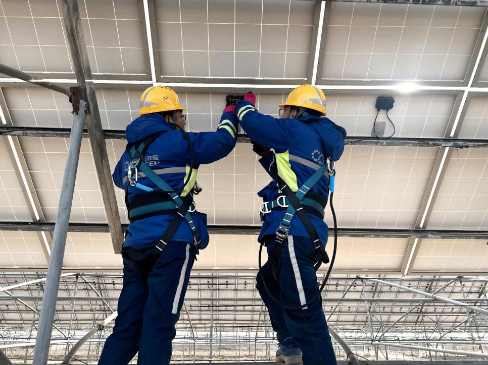 利来国际老牌-利来国际w66