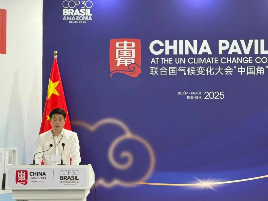 ������������-��������w66