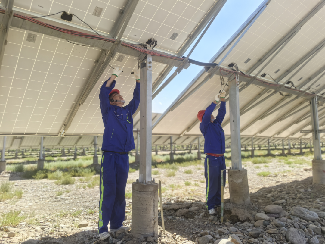 ������������-��������w66