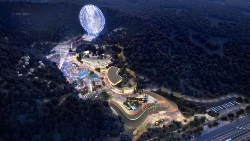 ������������-��������w66