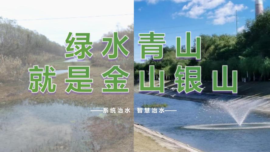 ������������-��������w66