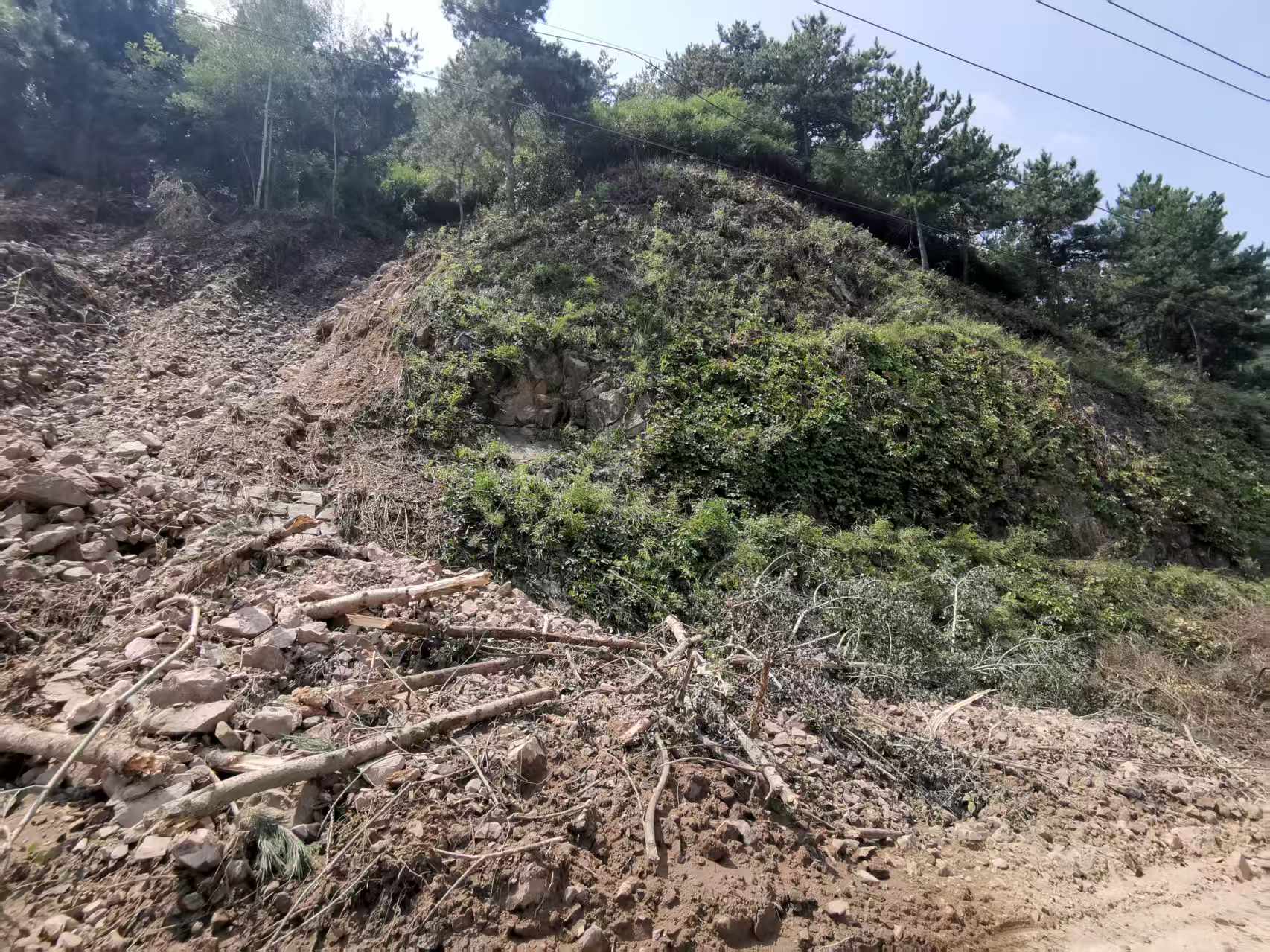 ������������-��������w66