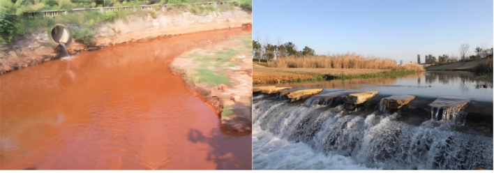 ������������-��������w66