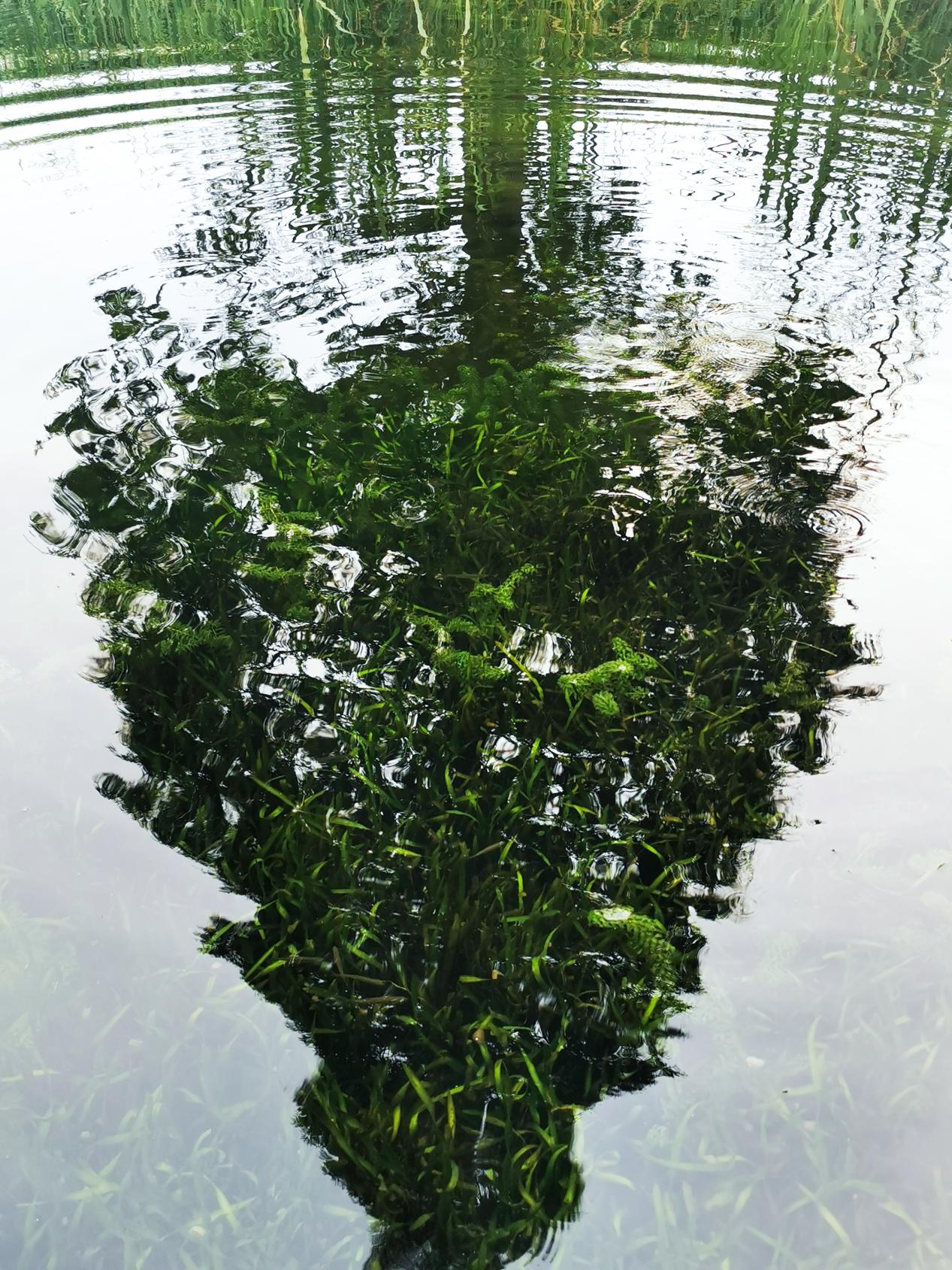 ������������-��������w66