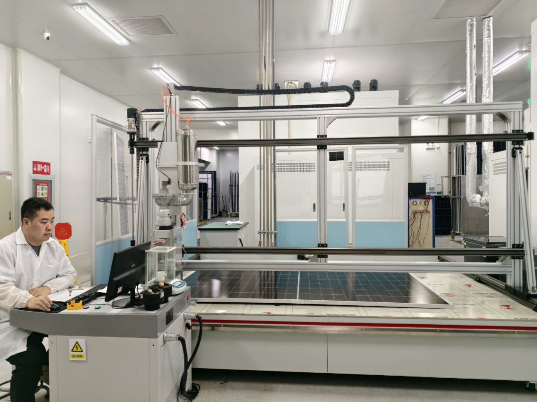 ������������-��������w66