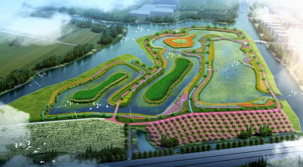 ������������-��������w66