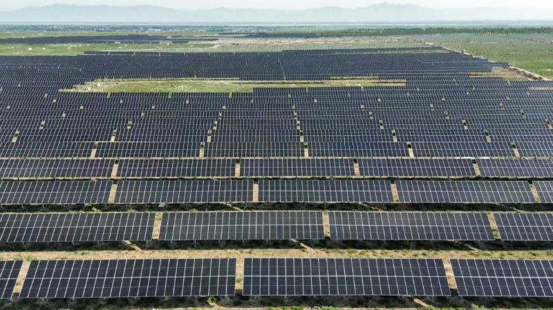 ������������-��������w66