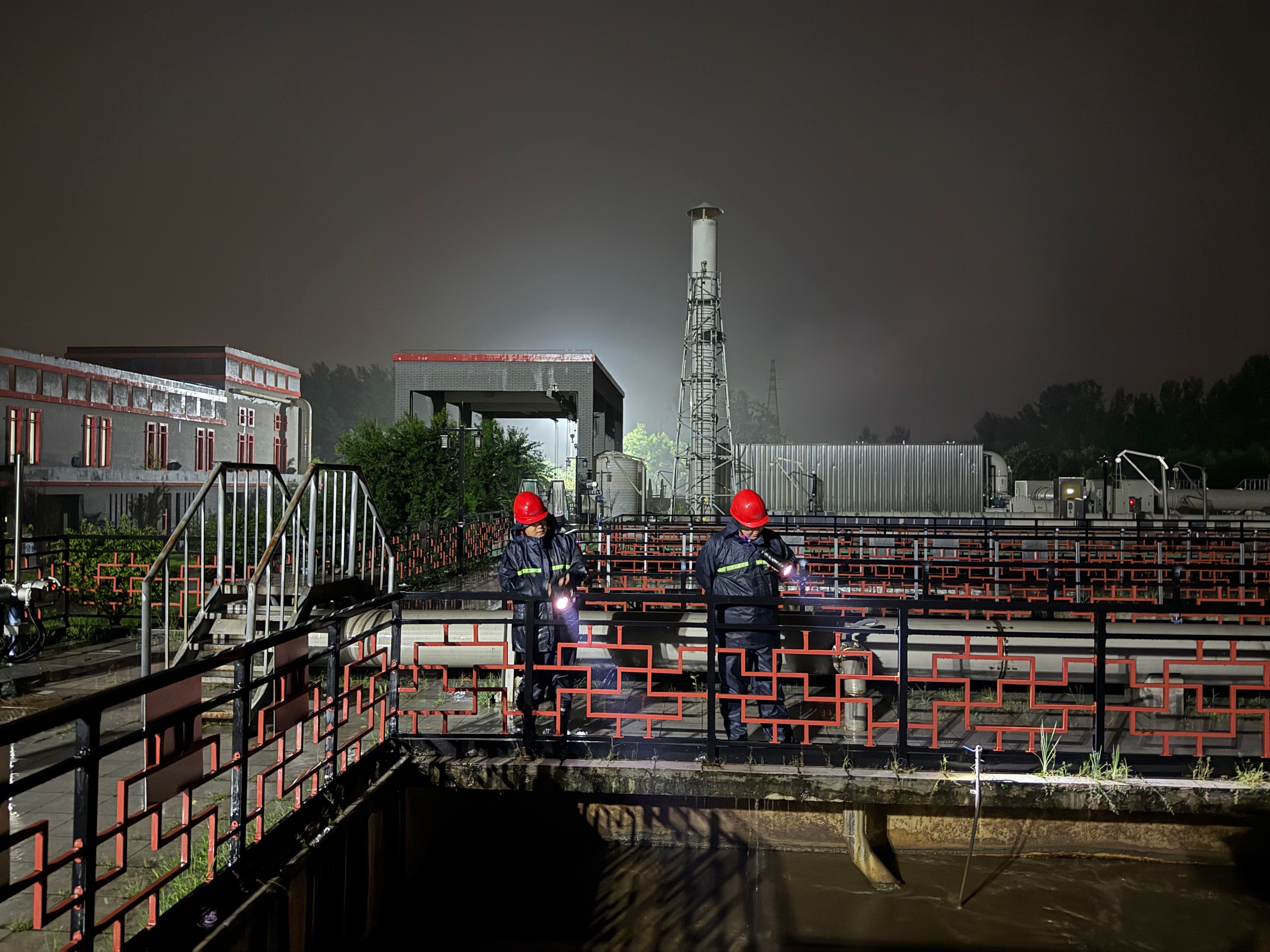 ������������-��������w66