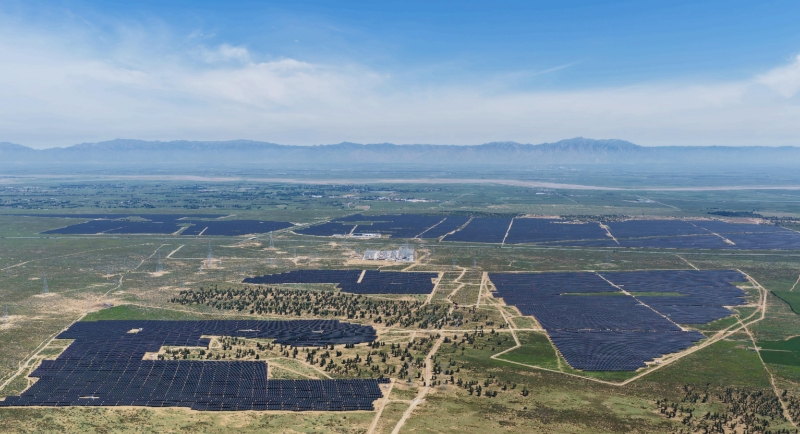 ������������-��������w66