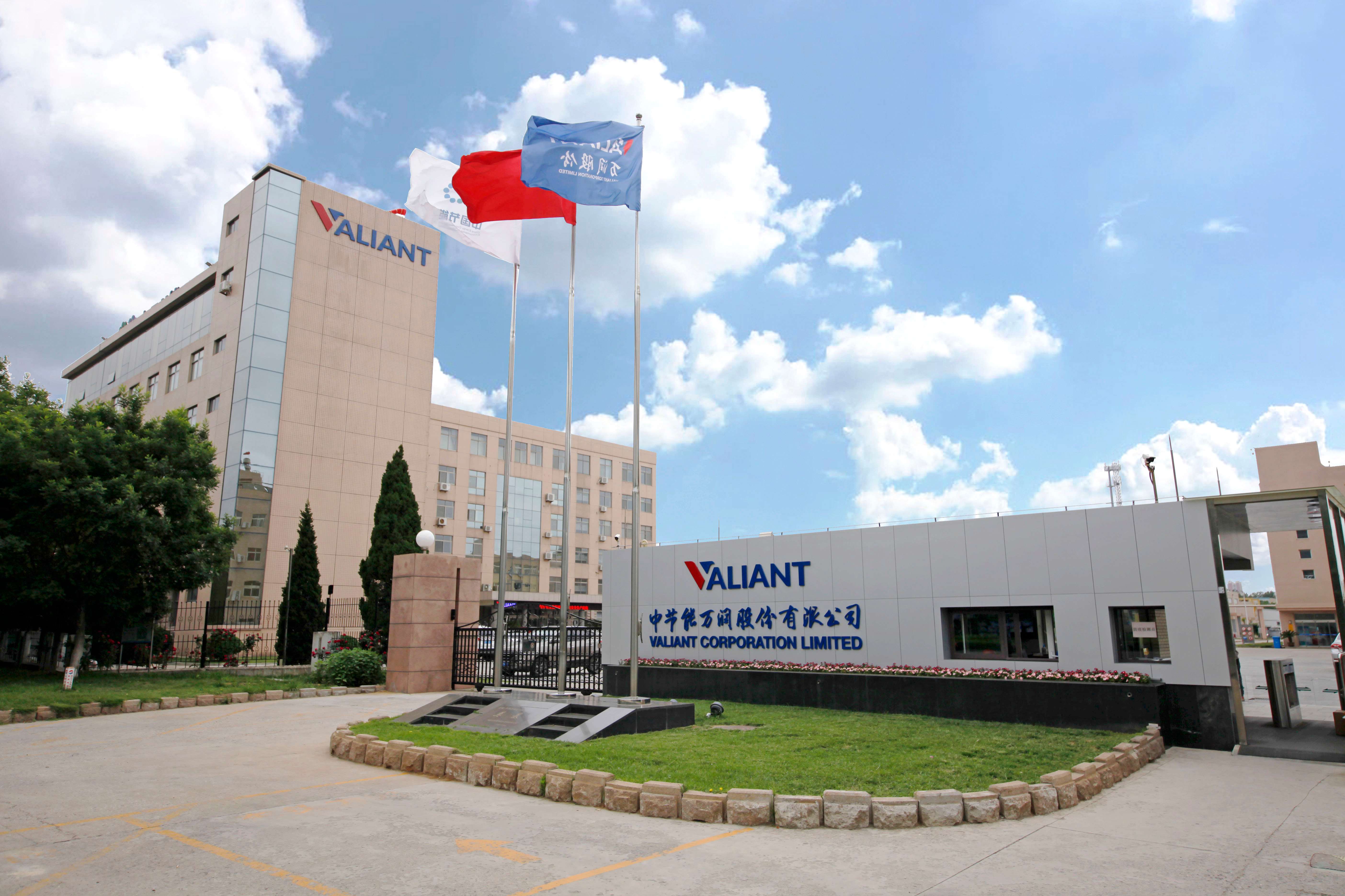 ������������-��������w66