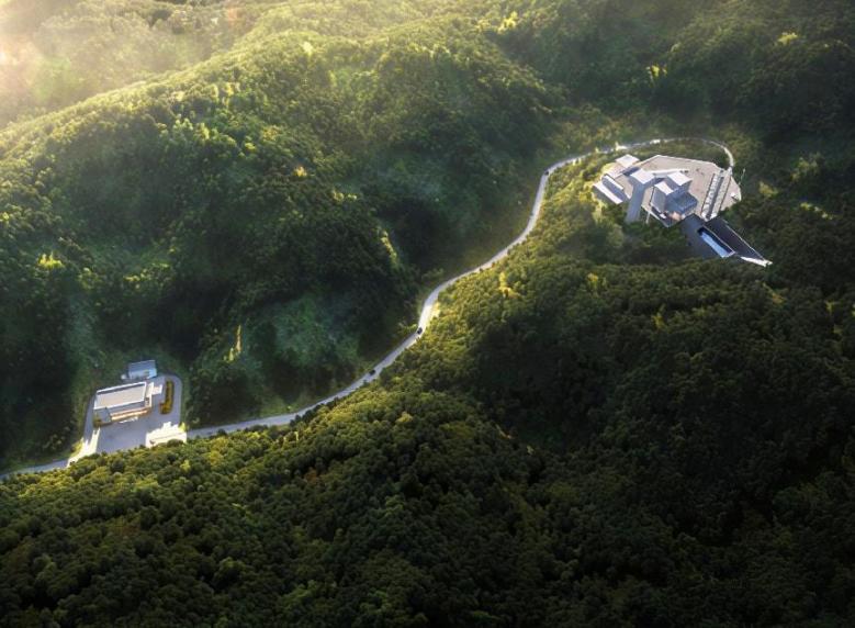 ������������-��������w66