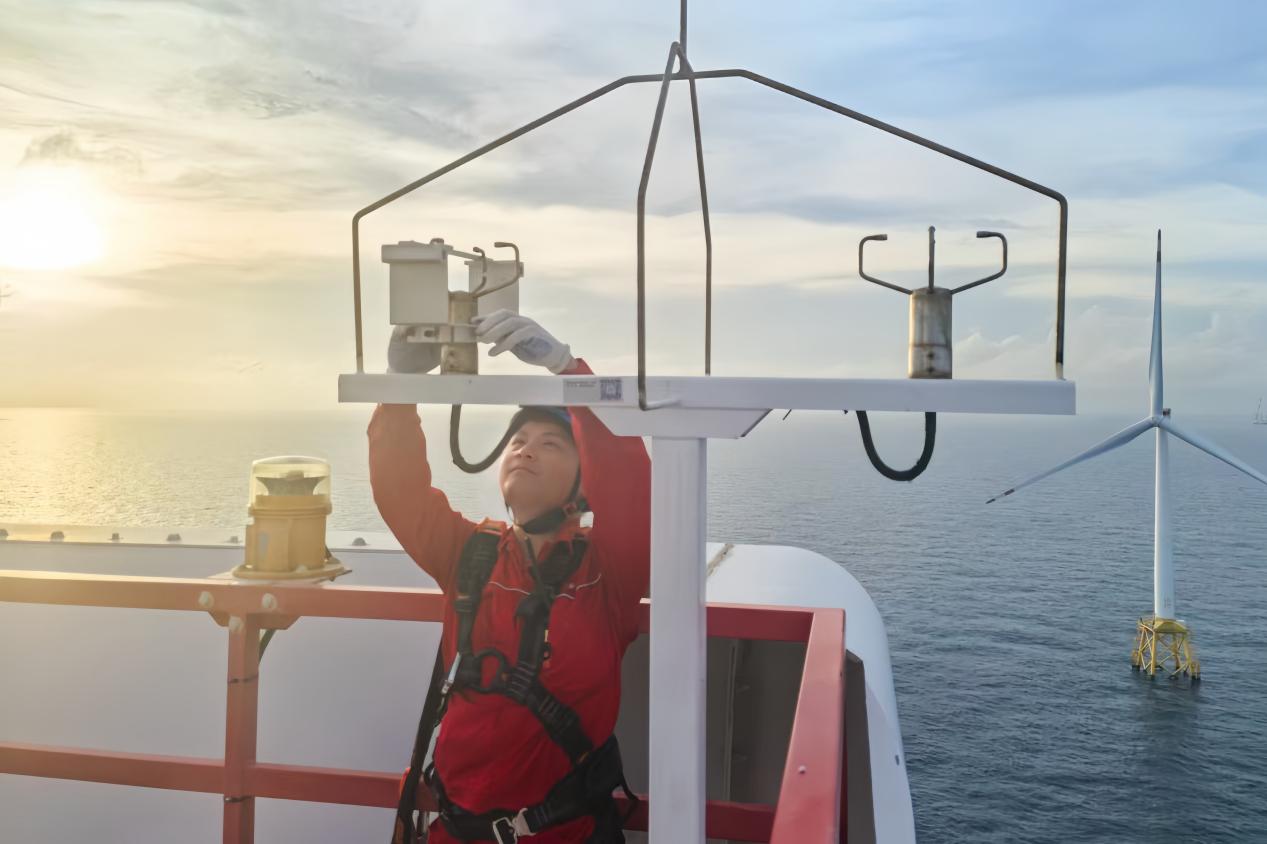 ������������-��������w66