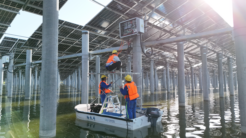 ������������-��������w66