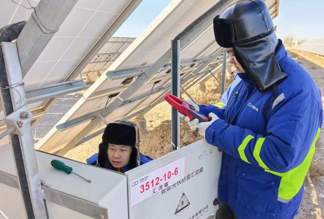 ������������-��������w66