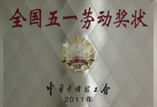 ������������-��������w66